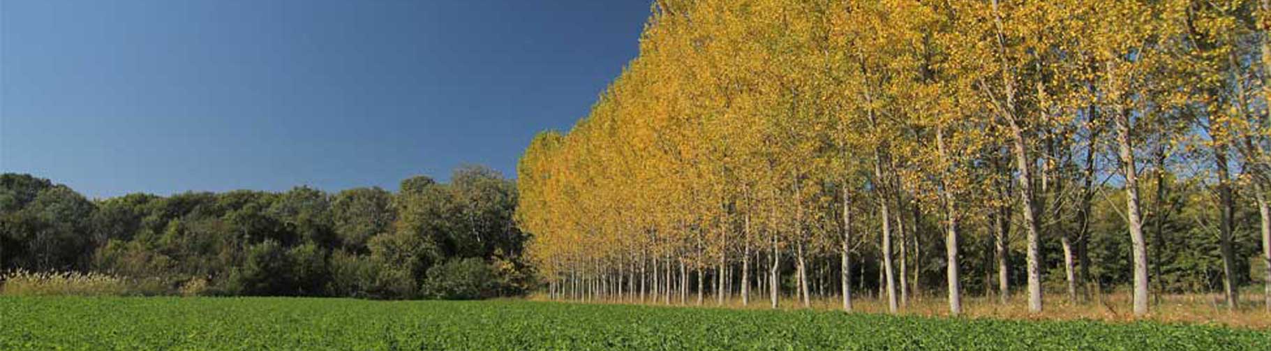 Χειμερινές διακοπές στις Σέρρες